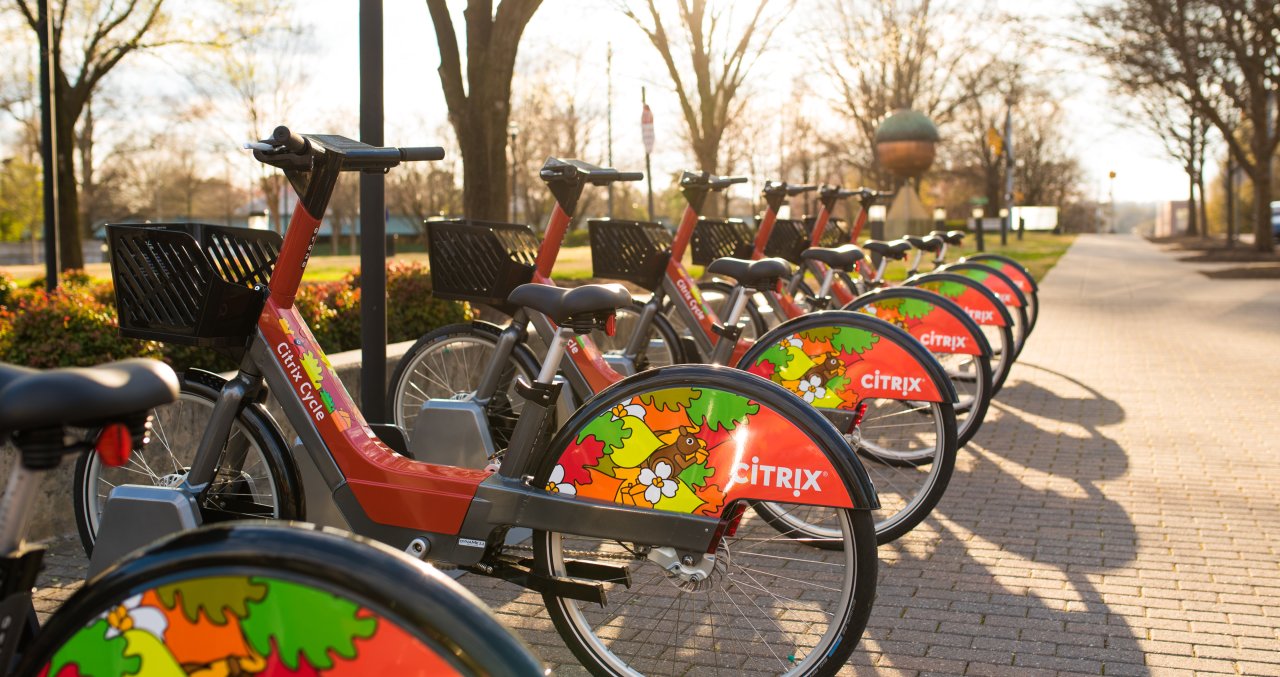 raleigh bike rack