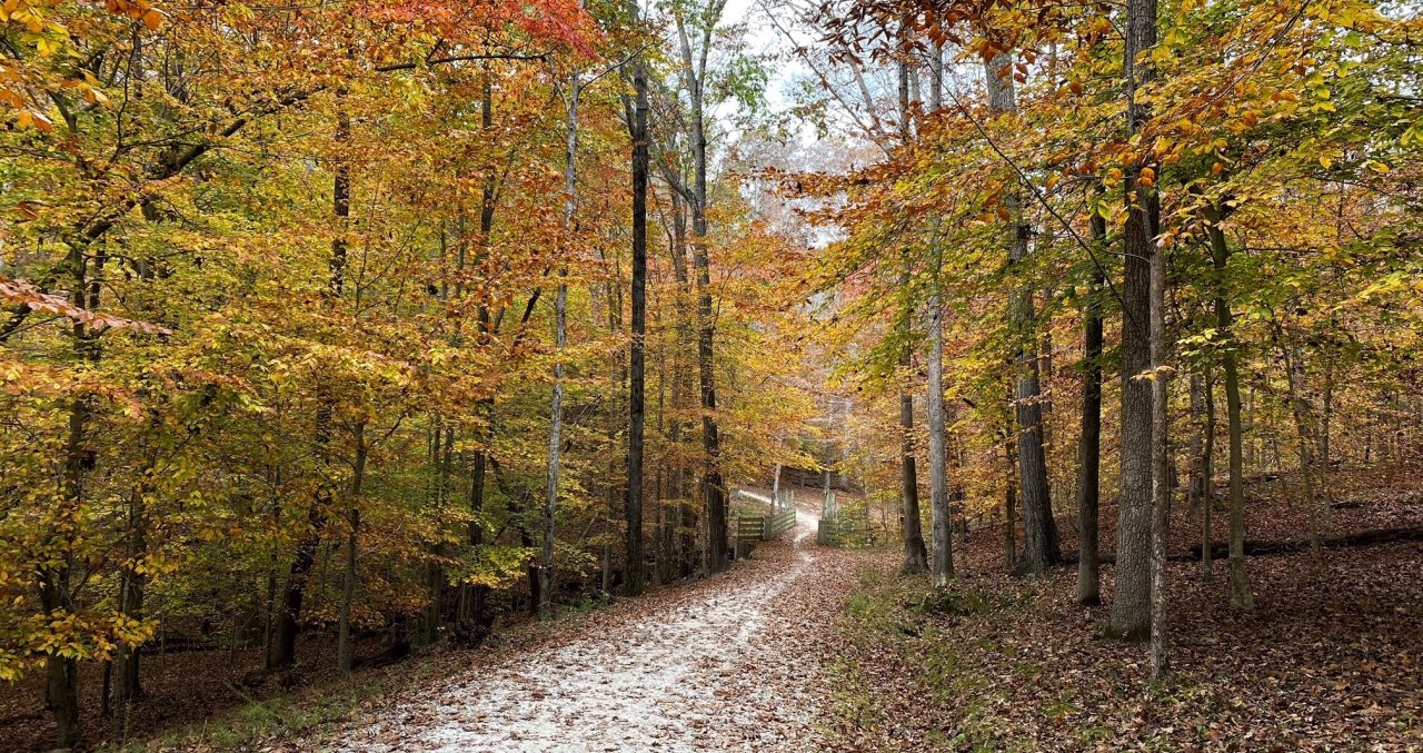 Try this in Autumn} :: take a flask of hot chocolate along on a walk.