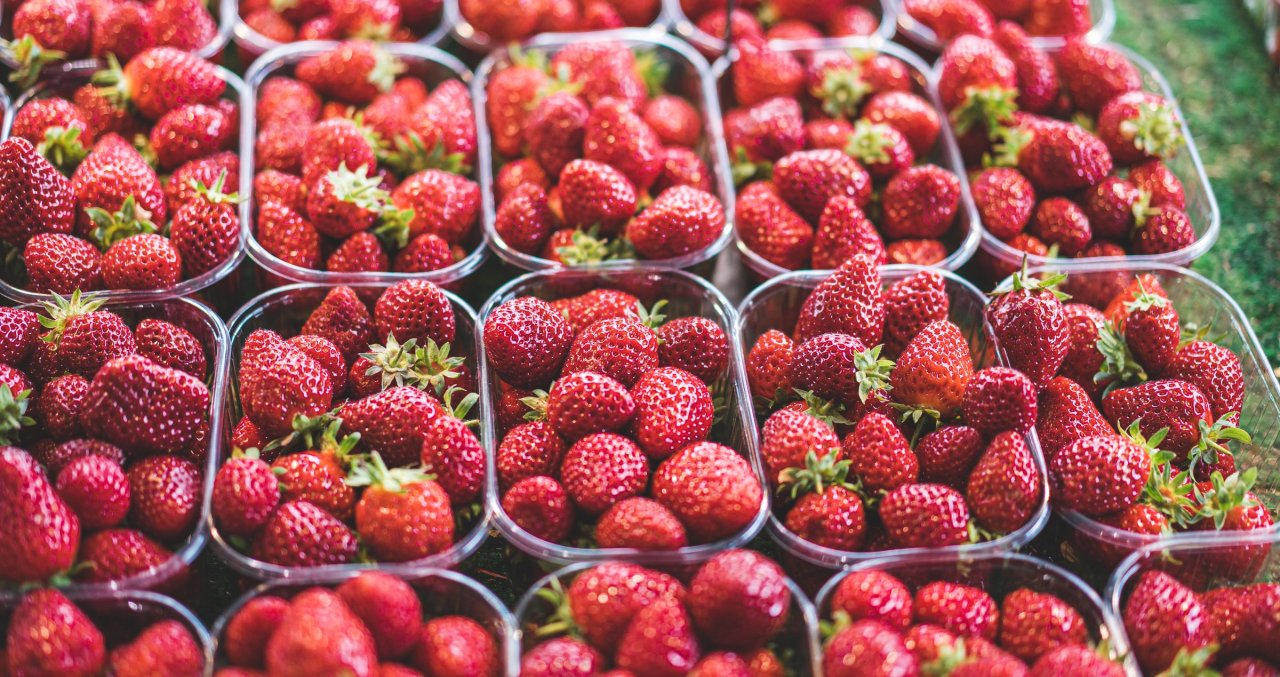 FREE PRINTABLE FRESH FRUIT MARKET (FARMERS MARKET SAMPLER