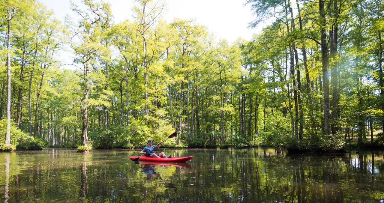 Five You Can Launch a Canoe or Kayak Right Now Raleigh, N.C.