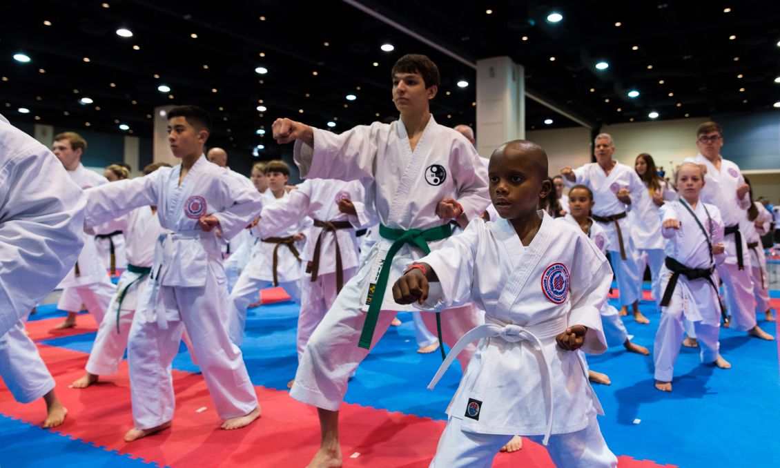 2015 AAU Karate