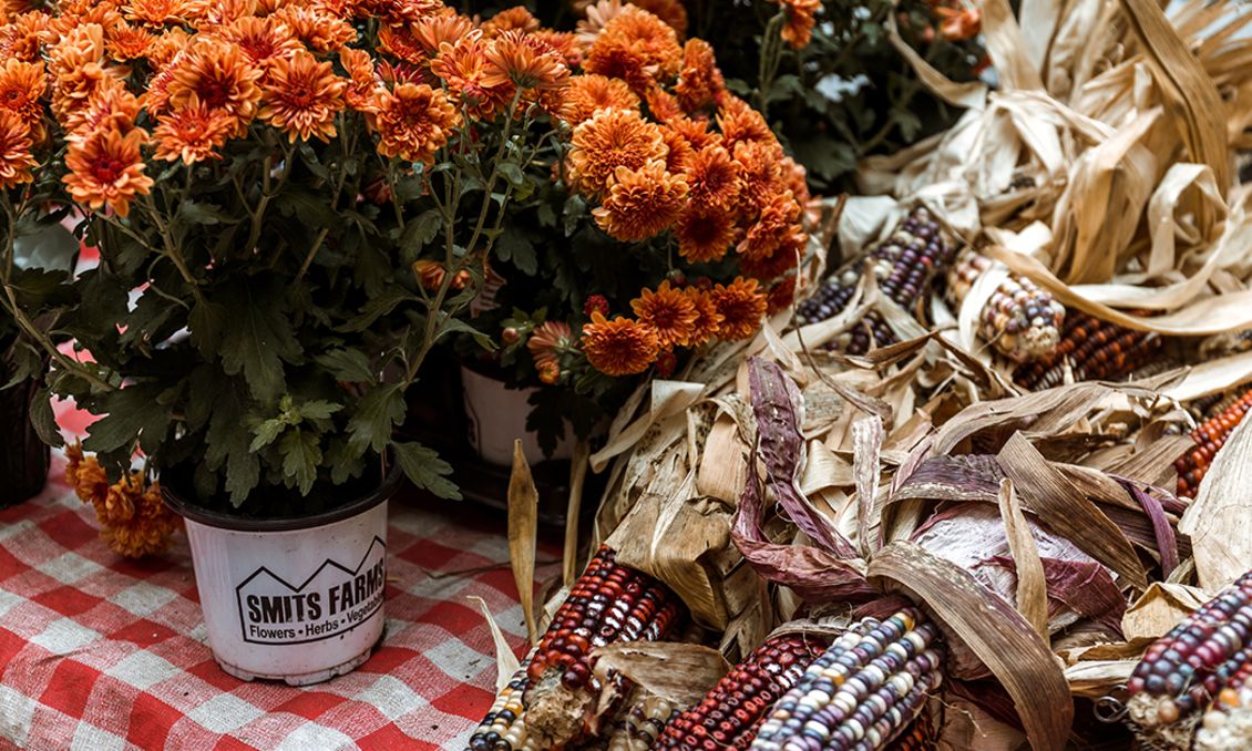 Farmers Market (open graph)