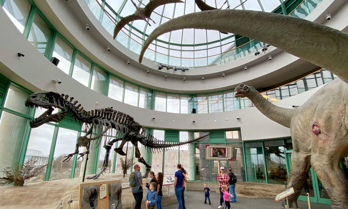North Carolina Museum of Natural Sciences Terror of the South