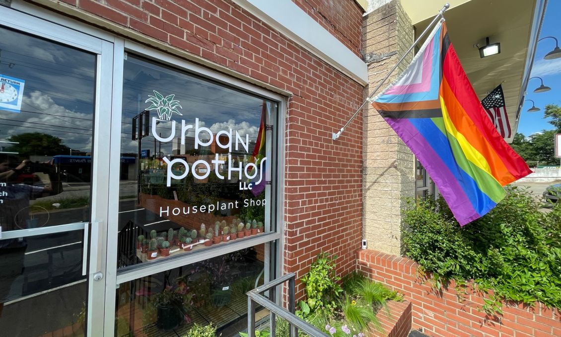Urban Pothos