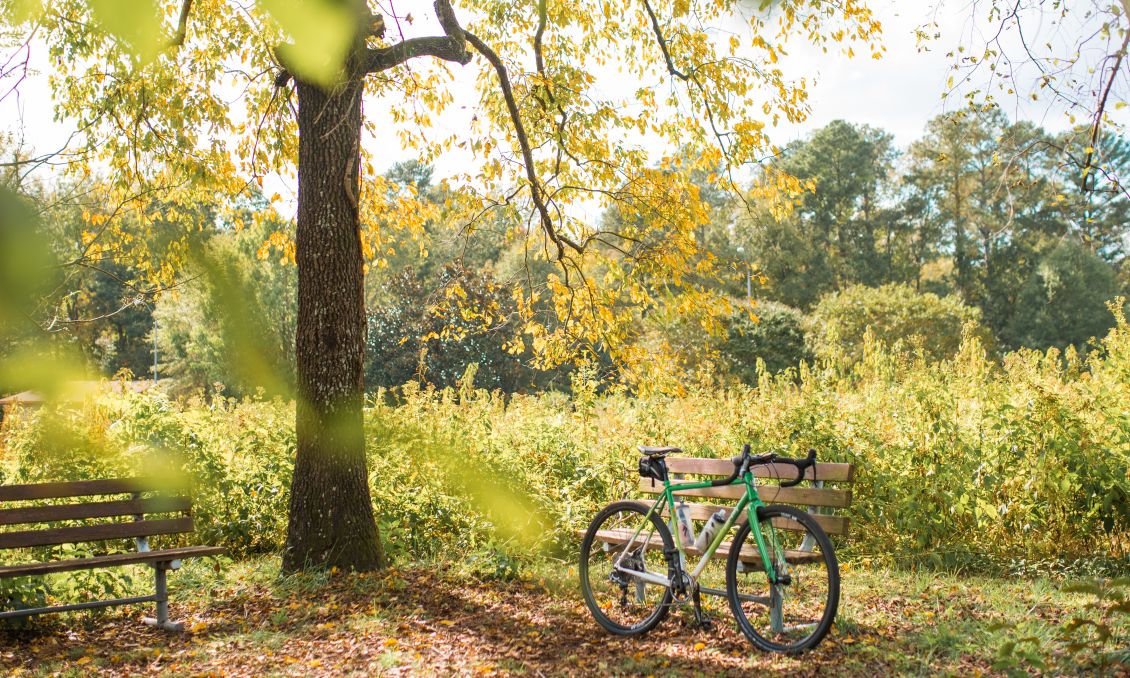 Anderson Point Park Bike