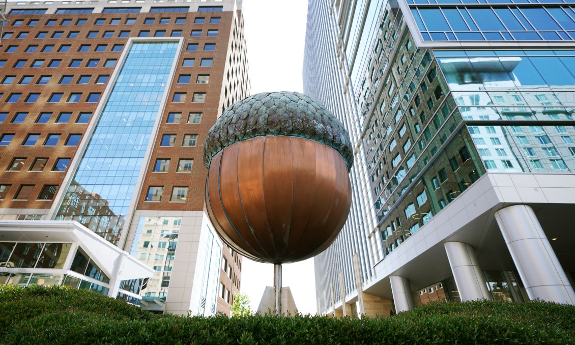 Raleigh Acorn