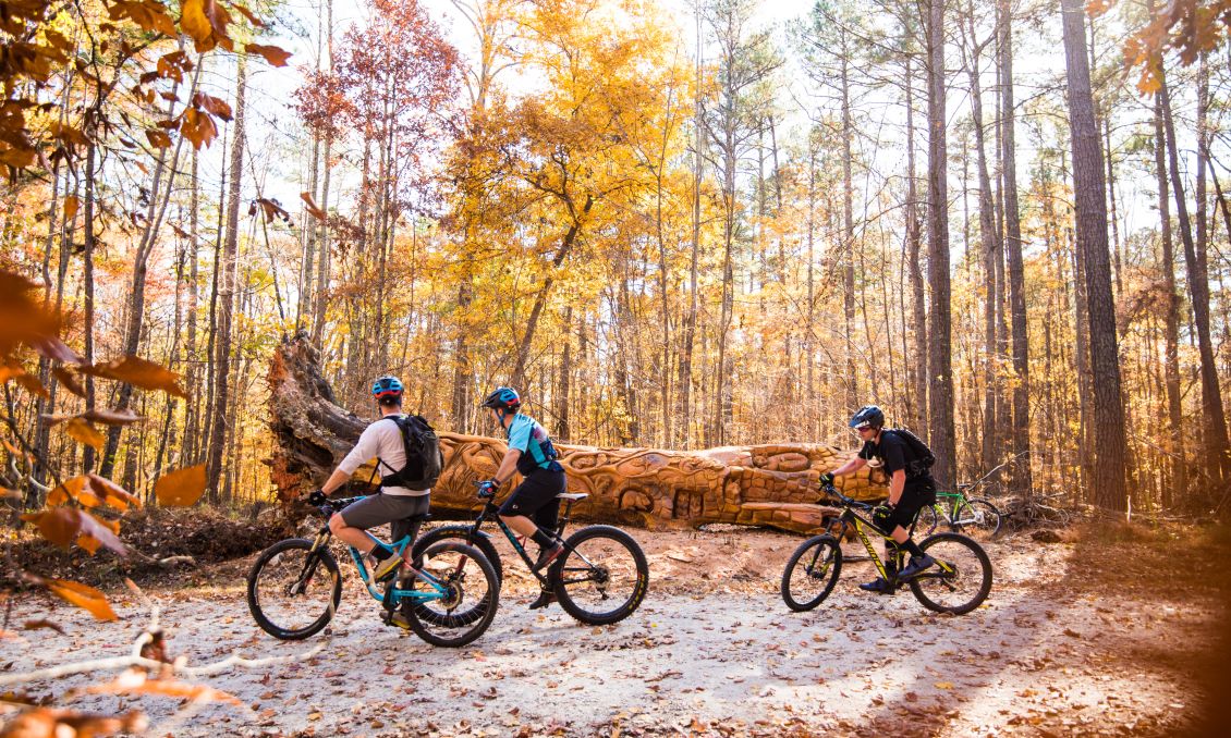 Three visitors ride their mountain bikes past chainsaw art in William B. Umstead State Park