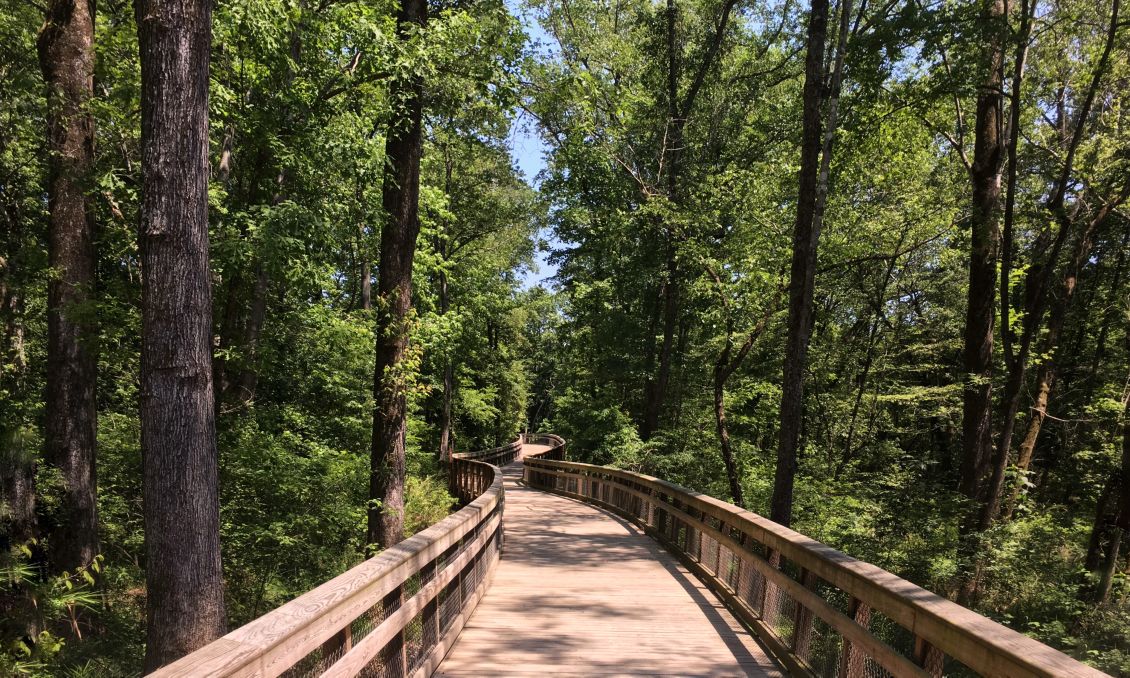 Walnut Creek Trail, 16:9