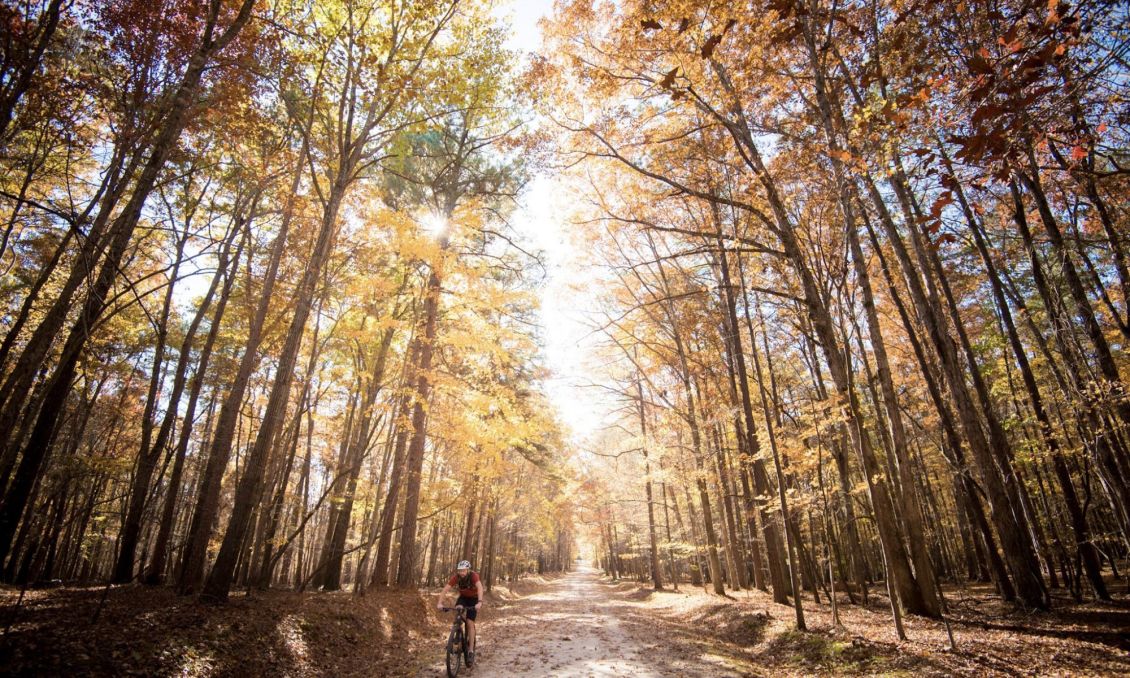 Umstead State Park--Fall