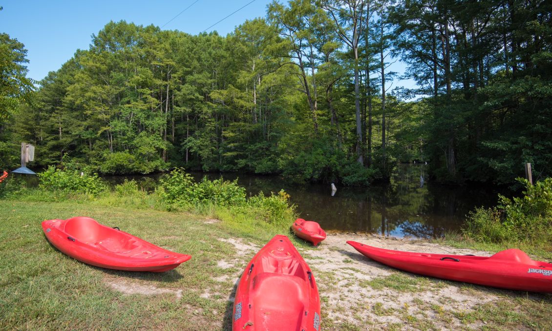 Robertson Millpond Kayak