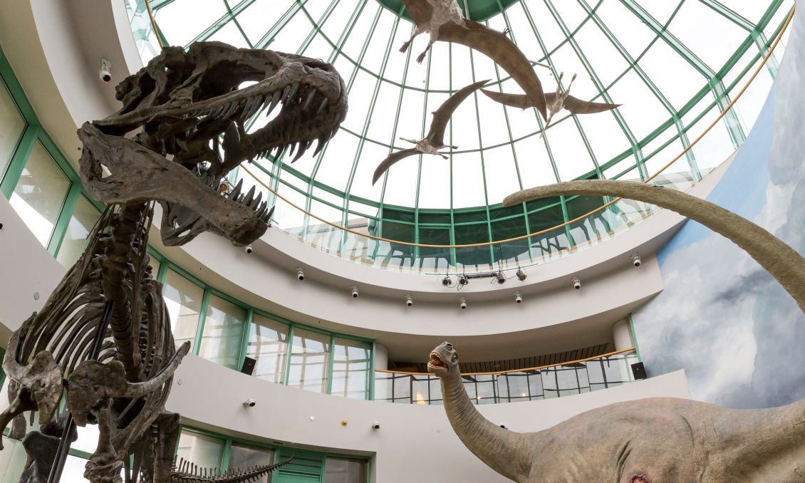 North Carolina Museum of Natural Sciences