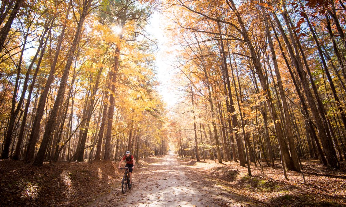 Umstead State Park (cropped)