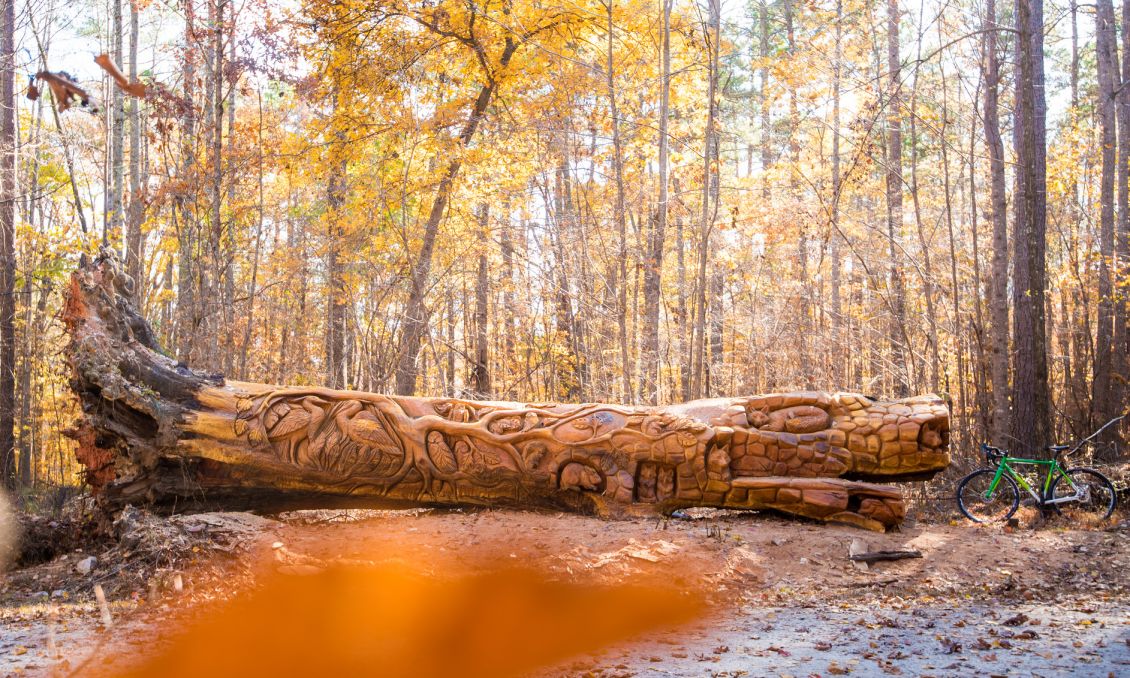 Umstead State Park Chainsaw Art