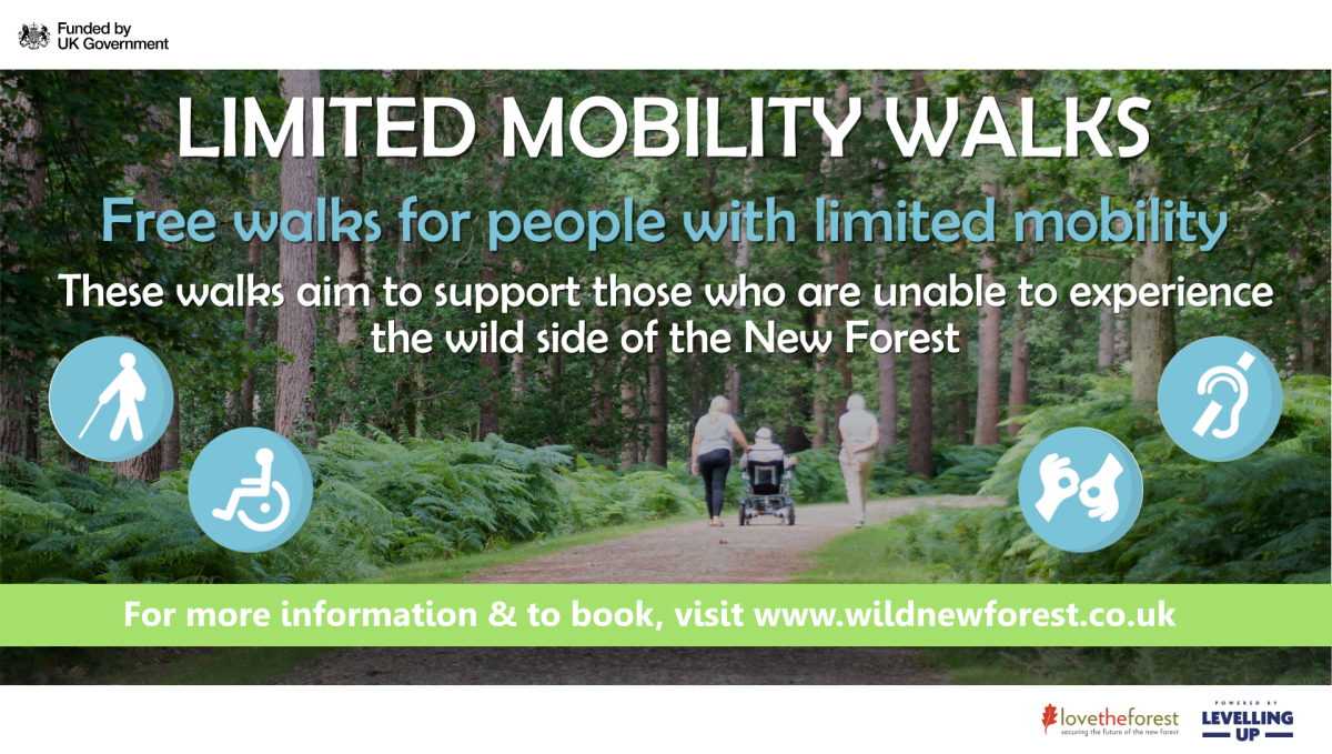 Wild New Forest - Limited Mobility Walks Banner