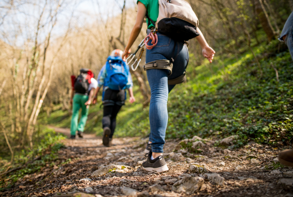 Three hikers with backpacks are walking up a rocky, forested trail. Sunlight filters through the trees, evoking an adventurous and energetic mood.