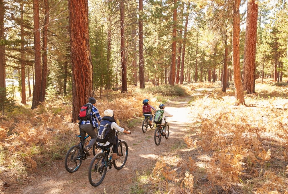family of four cycling in a wood in autumn