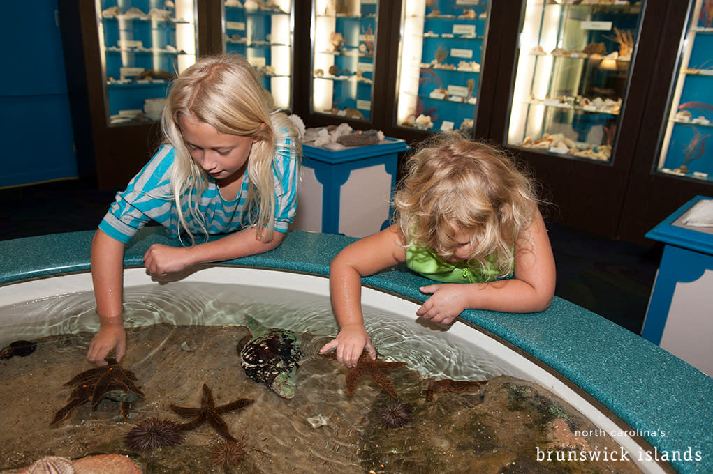 two children touching starfish in a touchtank