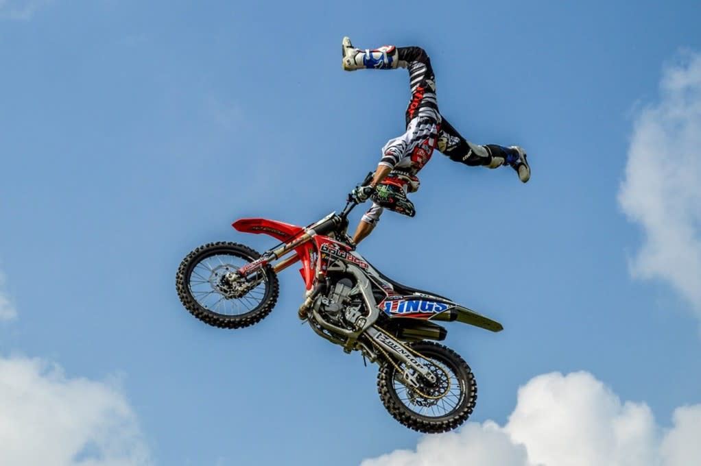 New Forest Show Blog - Pic 1