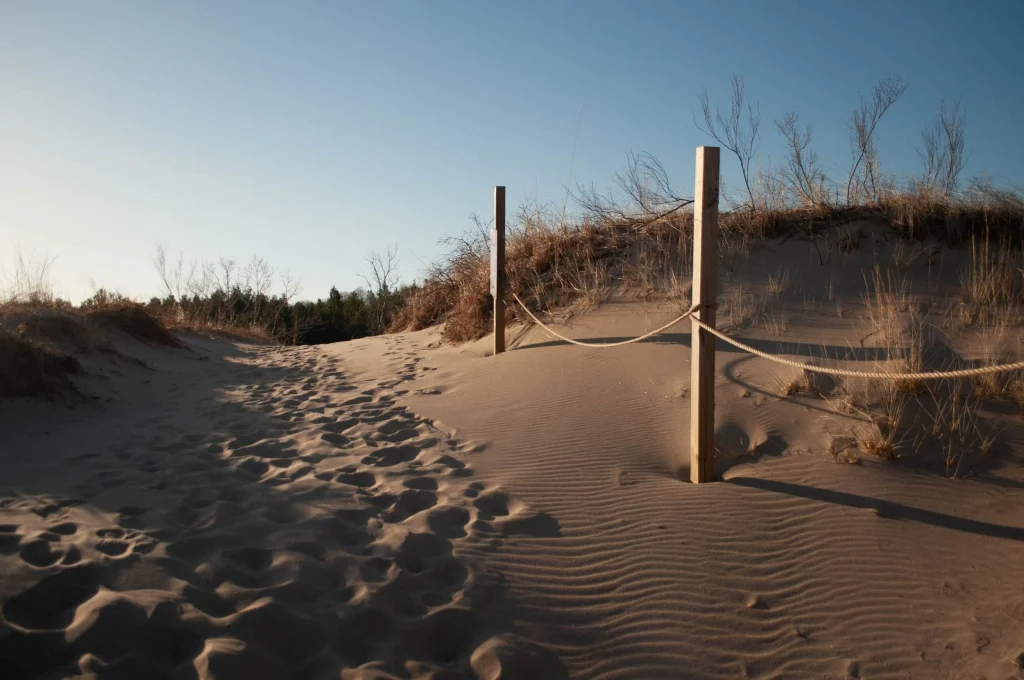 Trail posts on a dune
