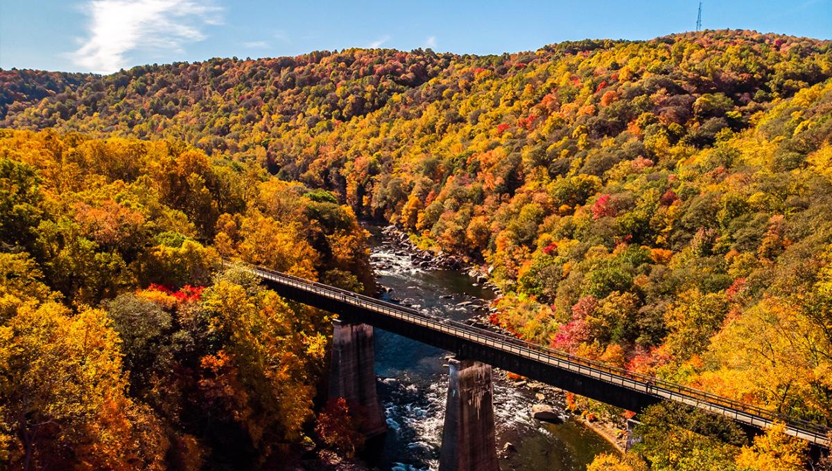 Ohiopyle Bridge