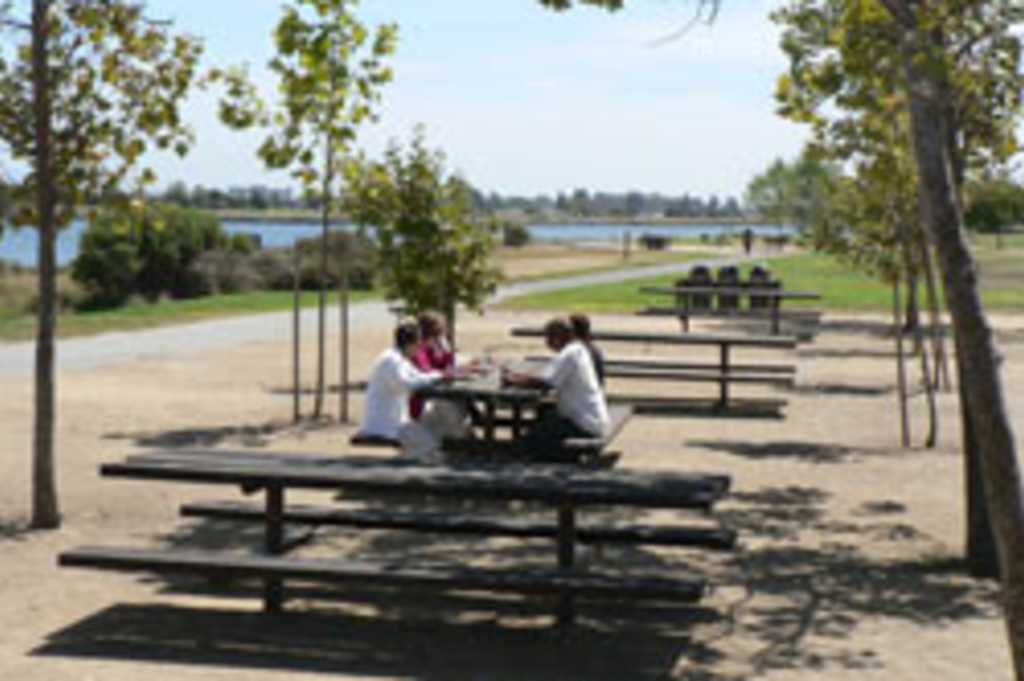 picnic tables