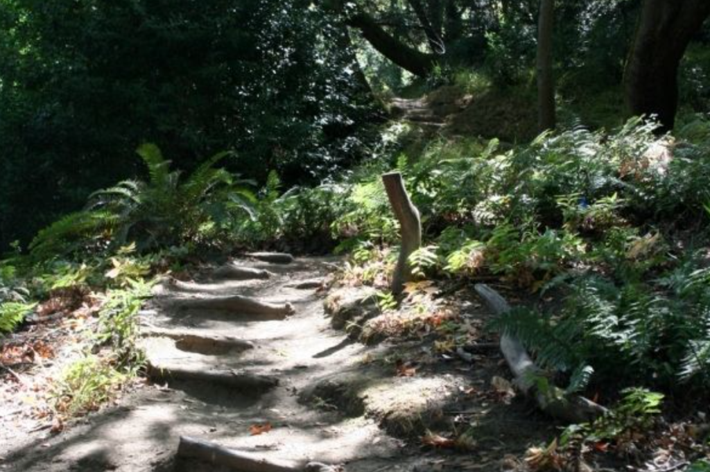 Garber Park