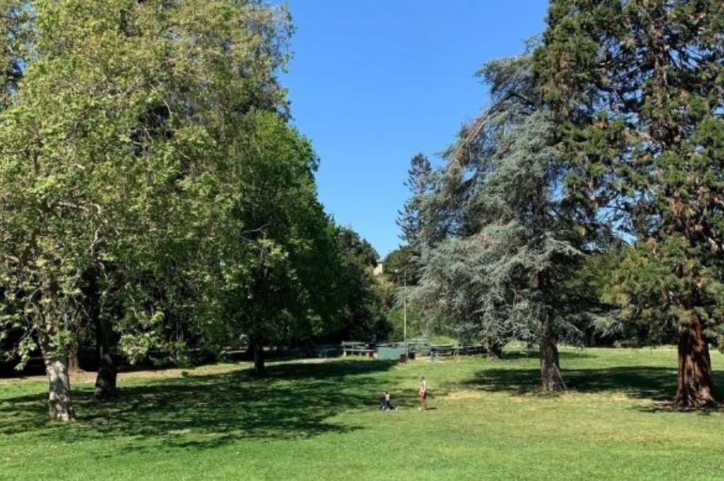 Dimond Park