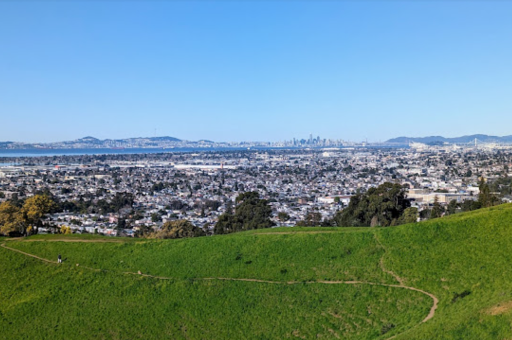 King Estate Open Space