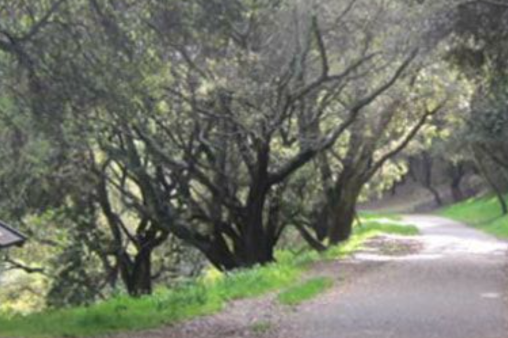 Montclair Railroad Trail