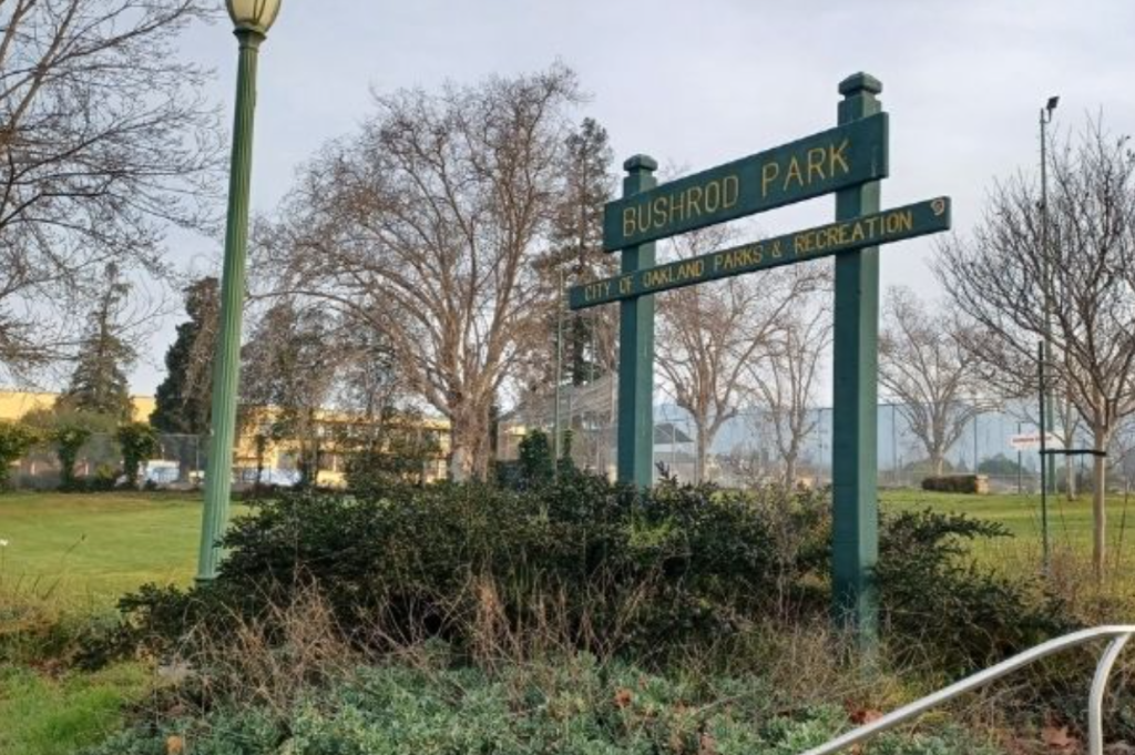 Bushrod Park