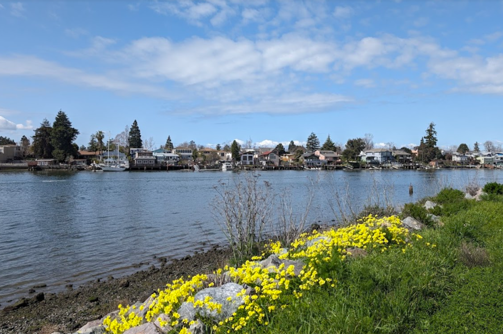 Tidewater
