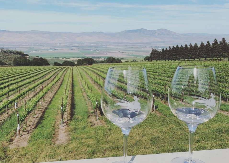Wineries Tasting Rooms In Monterey County