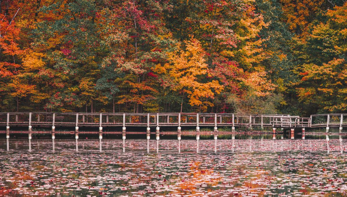 Lindenwood Nature Preserve in the Fall