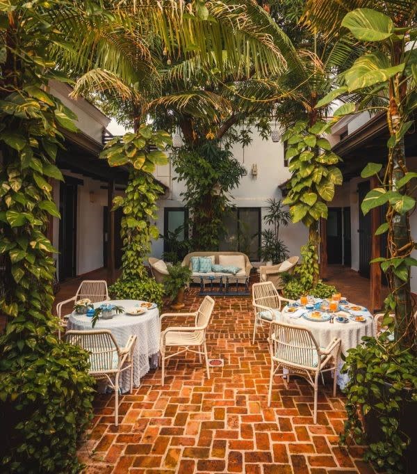 CASA DEL ÁRBOL FOTO INSTAGRAM @CASASDELXVI