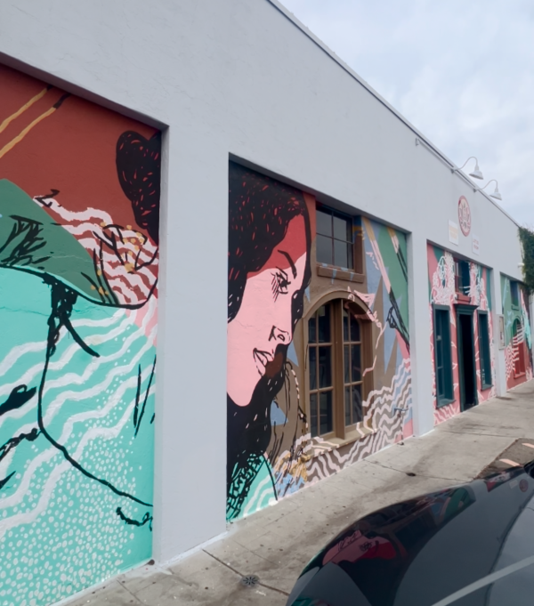 Yoga Studio Mural in Tower District