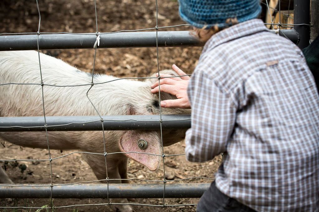 farmers_day_on_the_farm