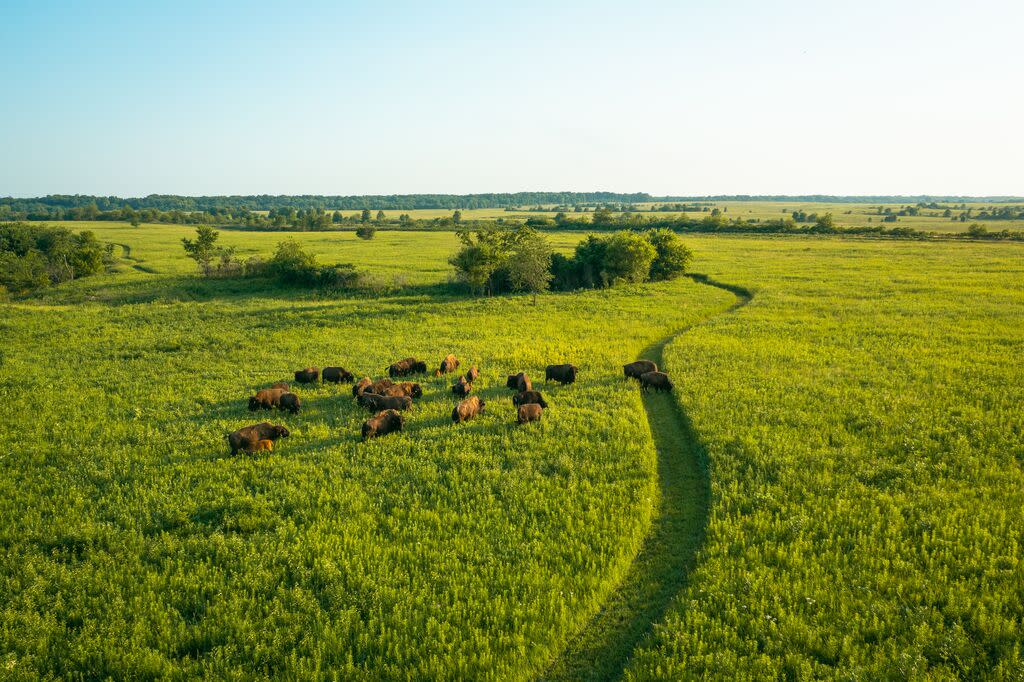 Prairie State Park