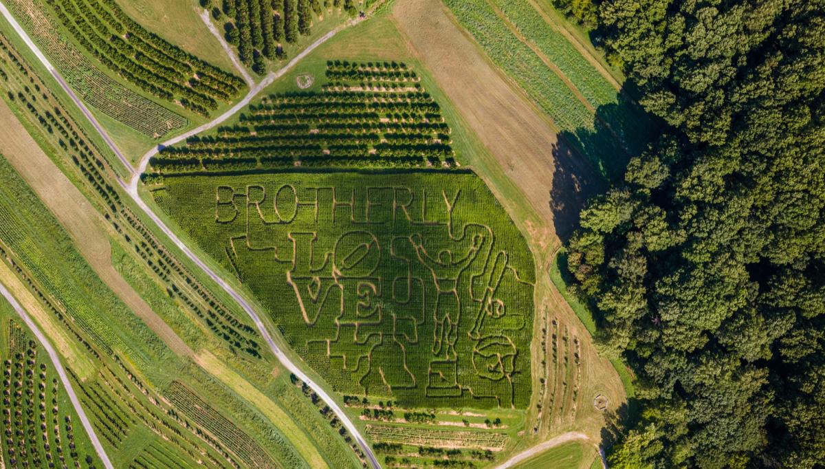 Highland Orchards 2024 maze