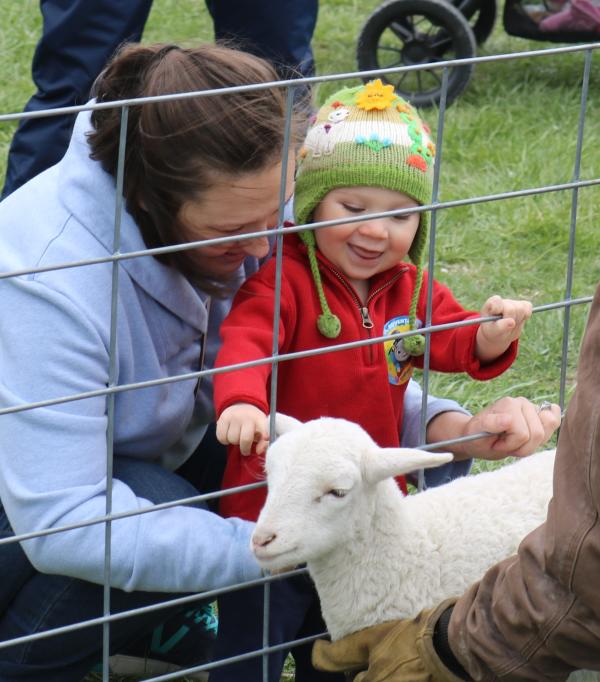 Barnyard Babies