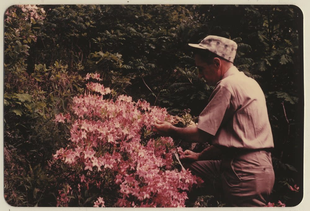 Dr. Neil Compton
