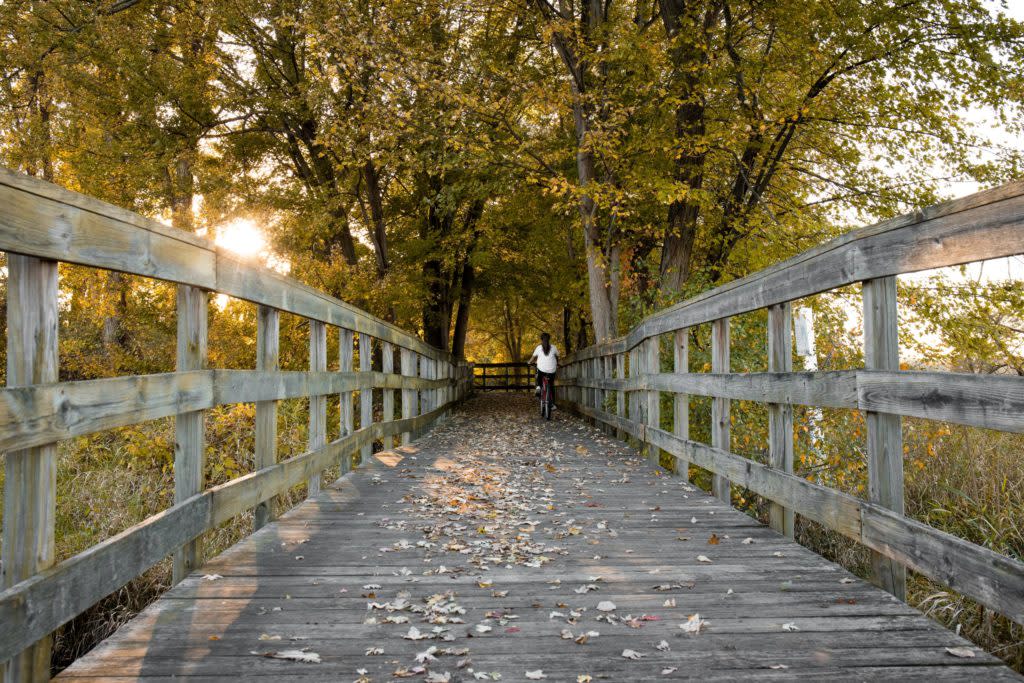 Beyer Farm Boardwalk Trail