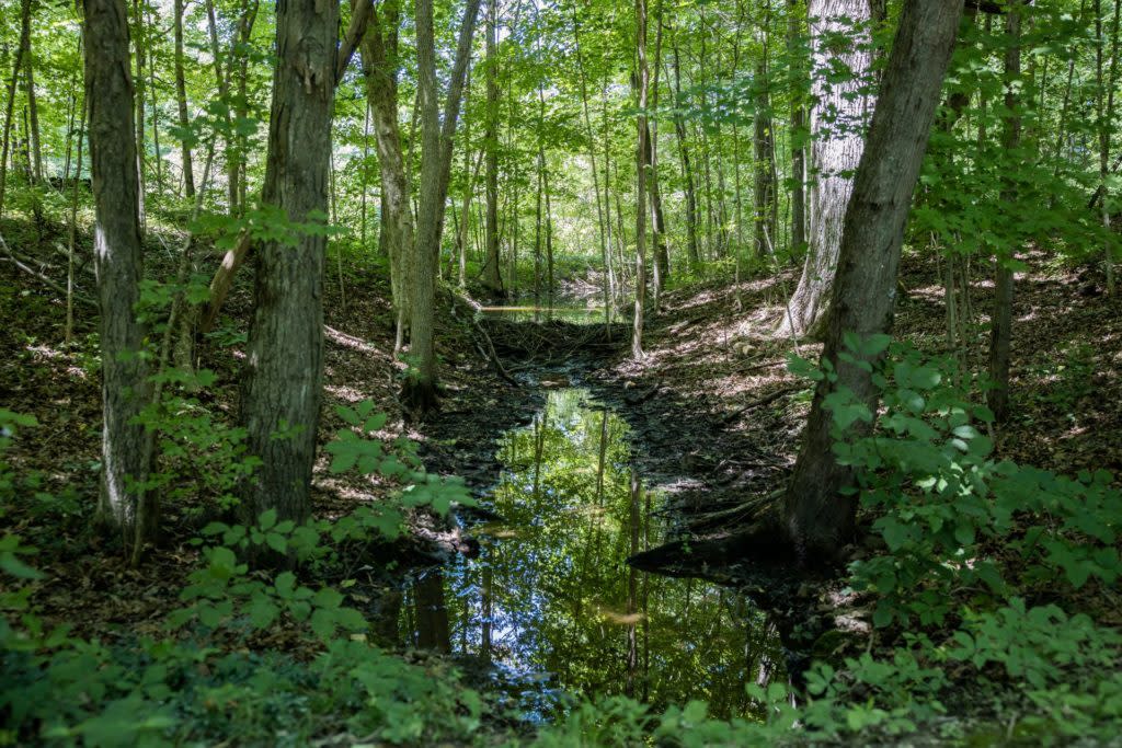 Wildwood Nature Preserve