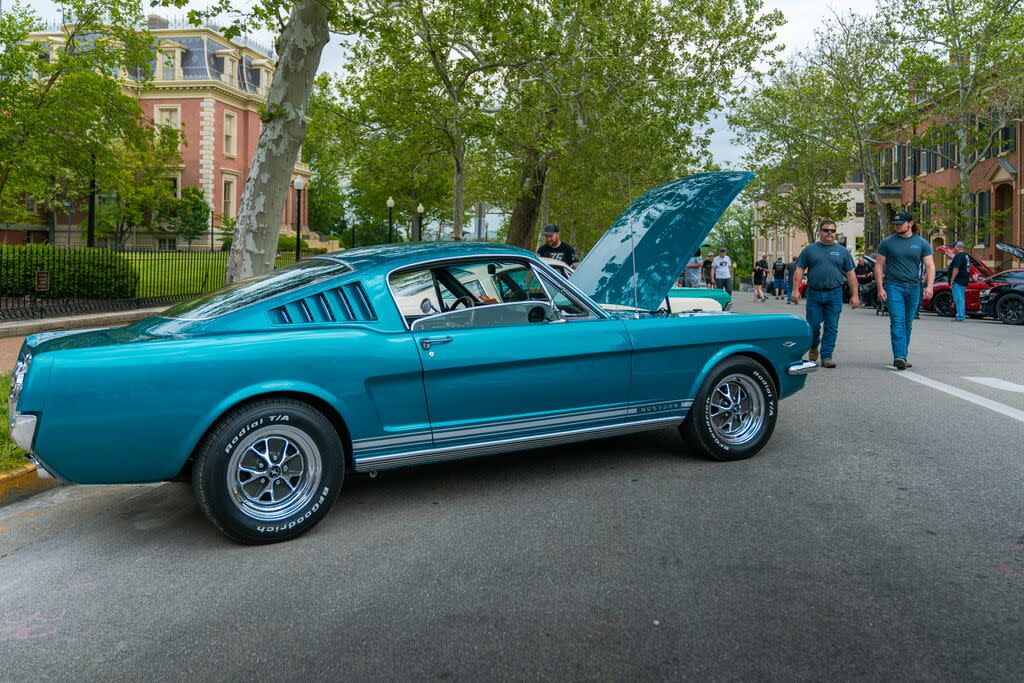 Shelbyfest