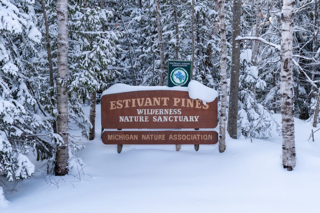 Estivant Pines sign in snow