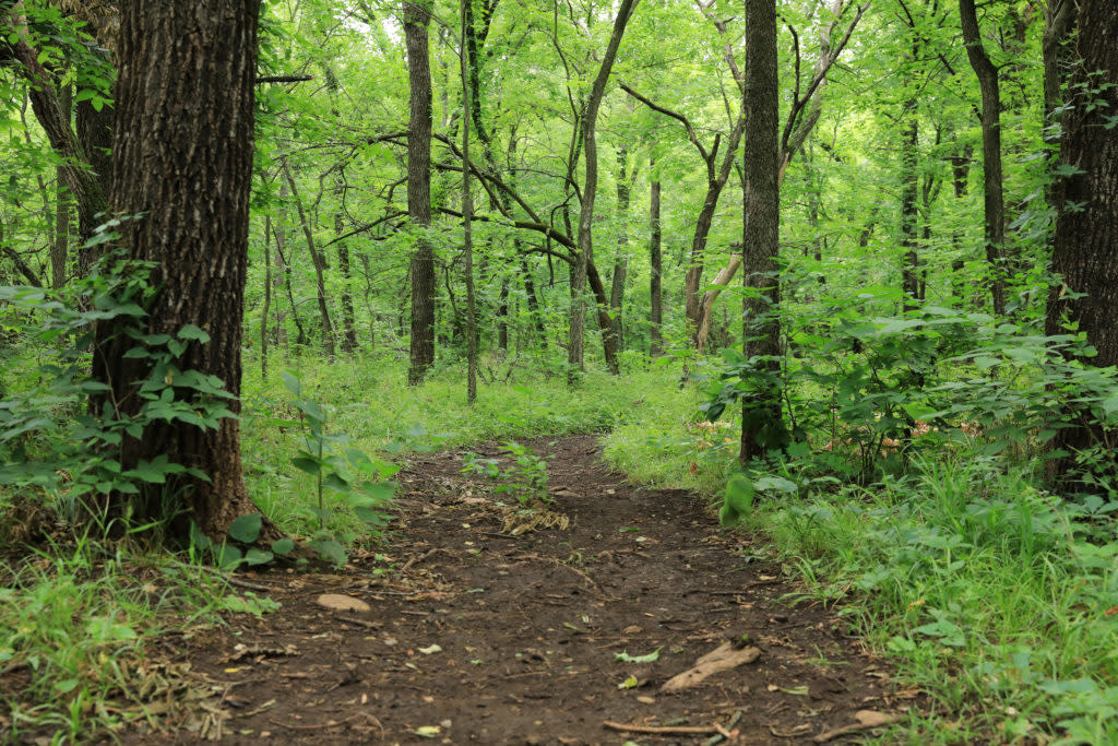 Lawrence Nature Park