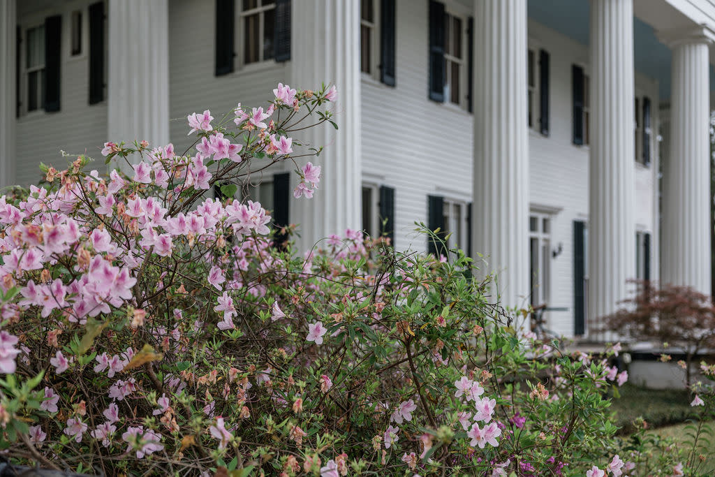 White House w Columns, Spring, Clay