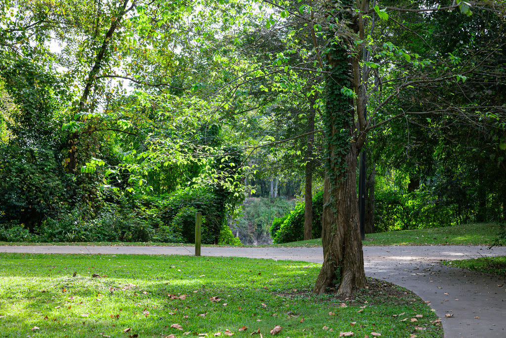 Oconee River Greenway