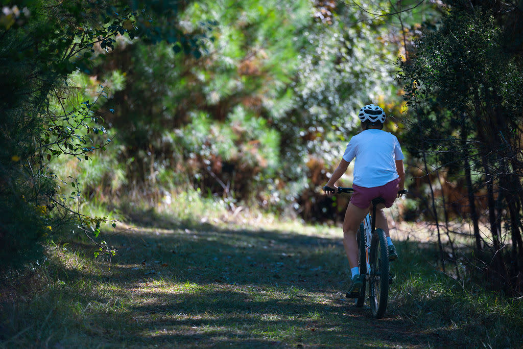 Bartram Forest