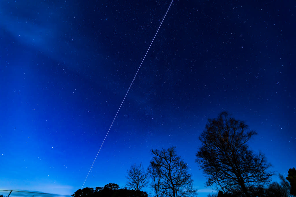 Starry sky in the New Forest