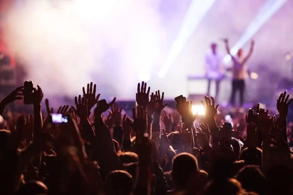 Live Concert Crowd Hands